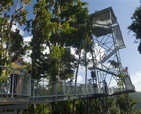 Mamu Tropical Skywalk - Surfers Gold Coast 1