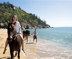 Horseshoe Bay - Surfers Gold Coast 1