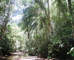 Julatten QLD Surfers Gold Coast