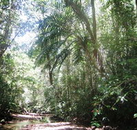 Mount Lewis National Park - Surfers Gold Coast