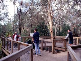 Valley Lake Conservation Park - Surfers Gold Coast 1