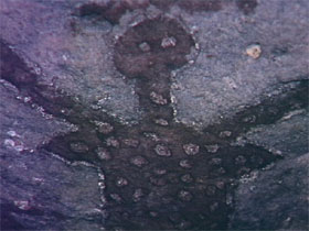 Quinkan Reserves Ancient Rock Art - Surfers Gold Coast 0