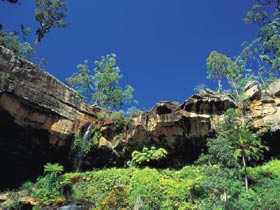 Blackdown Tableland National Park - Surfers Gold Coast 1