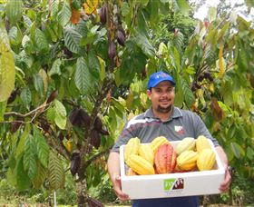 Sweet Farm Tours - Surfers Gold Coast 0