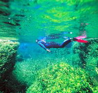 Piccaninnie Ponds Conservation Park - Surfers Gold Coast