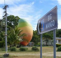 Big Mango - Surfers Gold Coast