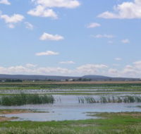 Fivebough Wetlands - Surfers Gold Coast