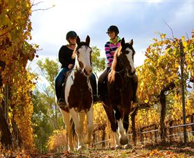 Billabong Ranch - Surfers Gold Coast 0