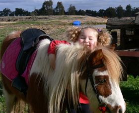 Billabong Ranch - Surfers Gold Coast 1