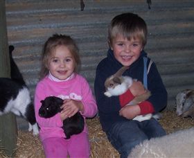 Billabong Ranch - Surfers Gold Coast 3