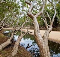 Oyala Thumotang National Park CYPAL - Surfers Gold Coast