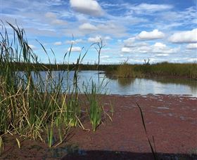 Gwydir Wetlands - Surfers Gold Coast 0