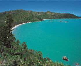 Hibiscus Coast - Surfers Gold Coast 2