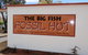 Big Fish Fossil Hut At Peak Hill - thumb 0
