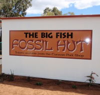 Big Fish Fossil Hut at Peak Hill - Surfers Gold Coast