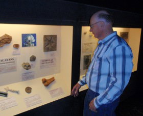 Big Fish Fossil Hut At Peak Hill - Surfers Gold Coast 1
