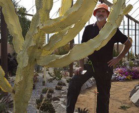Cactus Country - Surfers Gold Coast 0