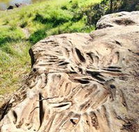 Terramungamine Rock Grooves - Surfers Gold Coast