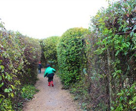 The Tangled Maze & Mistydowns Nursery - Surfers Gold Coast 1