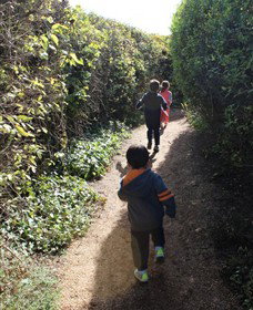 Springmount VIC Surfers Gold Coast