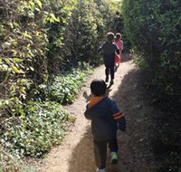 The Tangled Maze  Mistydowns Nursery - Surfers Gold Coast