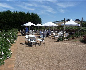 The Tangled Maze & Mistydowns Nursery - Surfers Gold Coast 6