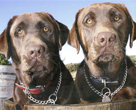 Ellender Estate - Surfers Gold Coast 7