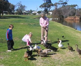 Roy Little Park Merredin - Surfers Gold Coast 0