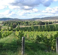 Sassy Wines - Surfers Gold Coast