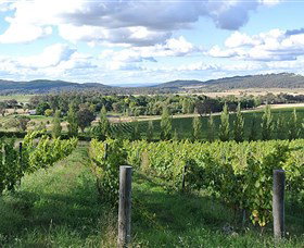 Sassy Wines - Surfers Gold Coast 0