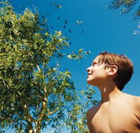 Birdwatching on Keswick Island - Surfers Gold Coast