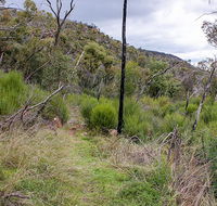 Lynchs loop trail - Surfers Gold Coast