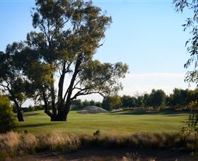 Black Bull Golf Club - Surfers Gold Coast 2