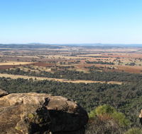 Basin Gully to Eualdrie lookout track - Surfers Gold Coast