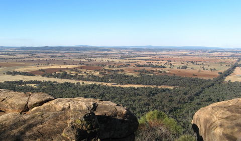 Basin Gully To Eualdrie Lookout Track - Surfers Gold Coast 0