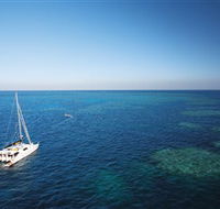 Bait Reef and Garys Lagoon Dive Site - Surfers Gold Coast