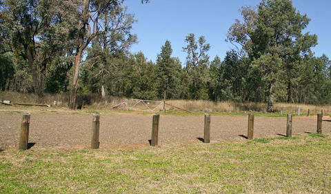 Terry Hie Hie Picnic Area - Surfers Gold Coast 2