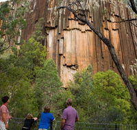 Sawn Rocks walking track - Surfers Gold Coast