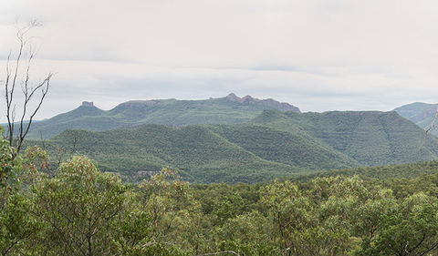 Deriah Aboriginal Information Bay - Surfers Gold Coast 3