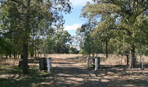 Terry Hie Hie Aboriginal Area - Surfers Gold Coast 2