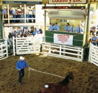 Gracemere Exhibition Complex - Surfers Gold Coast