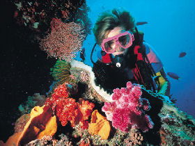 Great Barrier Reef - Whitsundays - Surfers Gold Coast 1