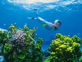 Great Barrier Reef - Whitsundays - Surfers Gold Coast 3