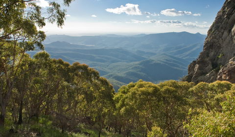Kaputar Scenic Drive - Surfers Gold Coast 1