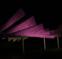 Public Art Wagga Wagga - Surfers Gold Coast