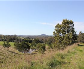 Mt Piper Nature Conservation Reserve - Surfers Gold Coast 0