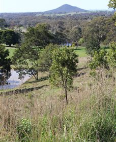 Mt Piper Nature Conservation Reserve - Surfers Gold Coast 1