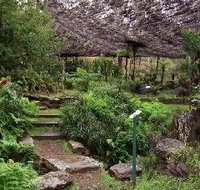 Burrendong Botanic Garden and Arboretum - Surfers Gold Coast