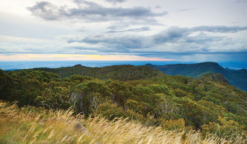 Doug Sky Lookout - Surfers Gold Coast 2