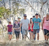 Winton Wetlands Reserve - Surfers Gold Coast